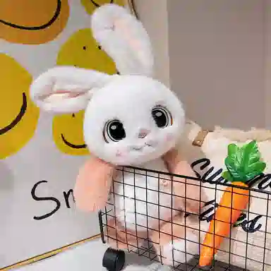 OU DI PIG 40cm50cm70cm