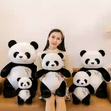 OU DI PIG 30cm40cm50cm60cm70cm