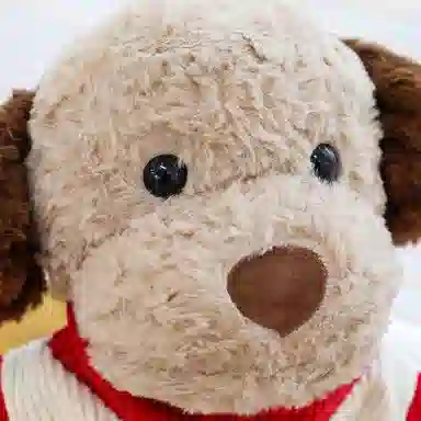 OU DI PIG 35cm50cm65cm