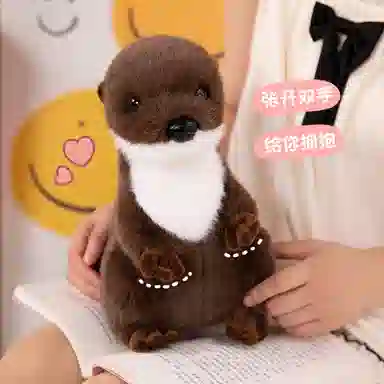 OU DI PIG 25cm35cm45cm60cm80cm