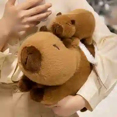 OU DI PIG 30cm40cm50cm