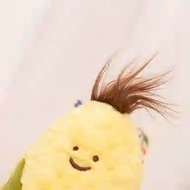 OU DI PIG 27cm33cm22cm