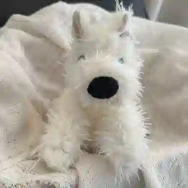 OU DI PIG 20cm25cm35cm