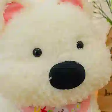 OU DI PIG 25cm40cm60cm80cm