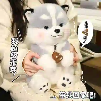 OU DI PIG 40cm50cm60cm