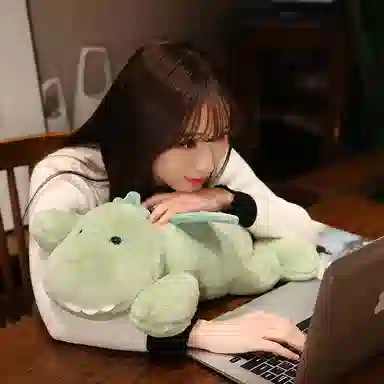 OU DI PIG 28cm38cm30cm50cm