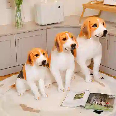 OU DI PIG 40cm55cm65cm