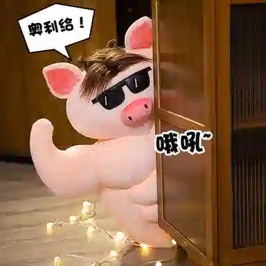 OU DI PIG 40cm55cm70cm