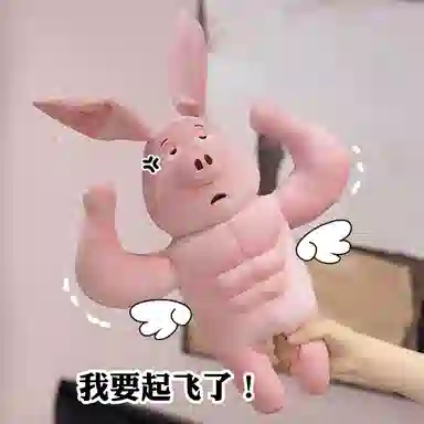 OU DI PIG 35cm45cm60cm