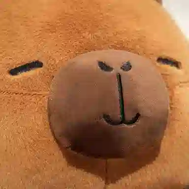 OU DI PIG 40cm60cm80cm