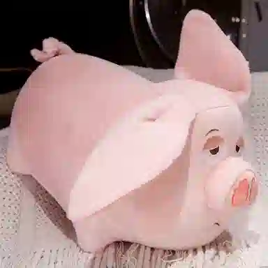OU DI PIG 25cm40cm60cm
