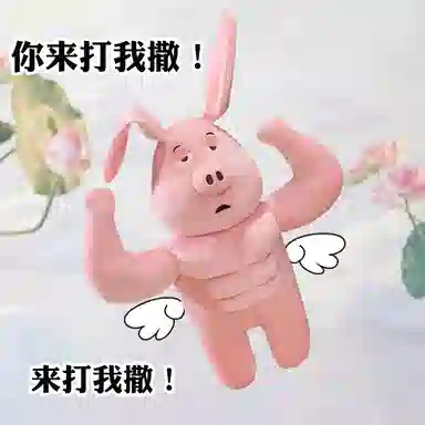 OU DI PIG 35cm45cm60cm