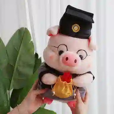 OU DI PIG 25cm35cm45cm