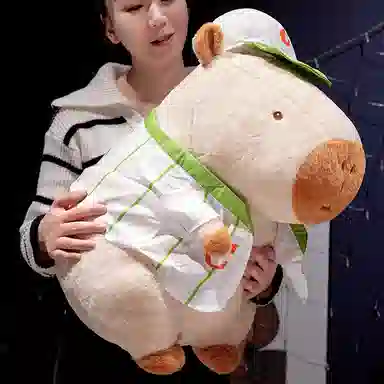 OU DI PIG 35cm45cm55cm