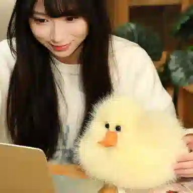 OU DI PIG 25cm40cm60cm