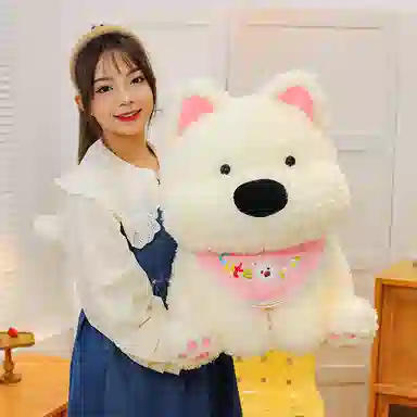 OU DI PIG 25cm40cm60cm80cm