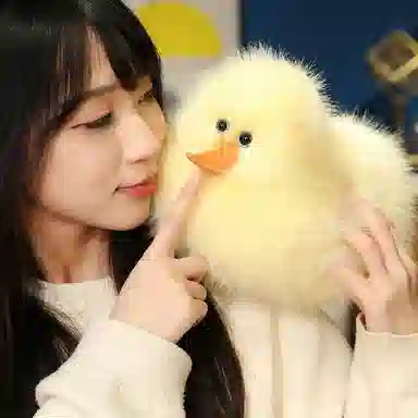 OU DI PIG 25cm40cm60cm