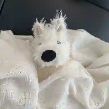 OU DI PIG 20cm25cm35cm