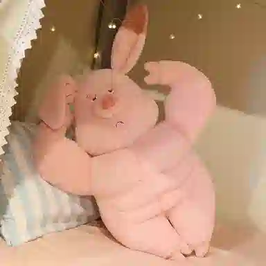 OU DI PIG 40cm50cm60cm