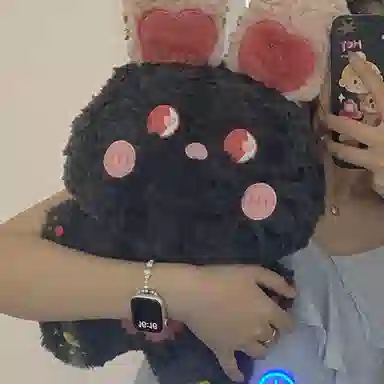 OU DI PIG 39cm36cm46cm