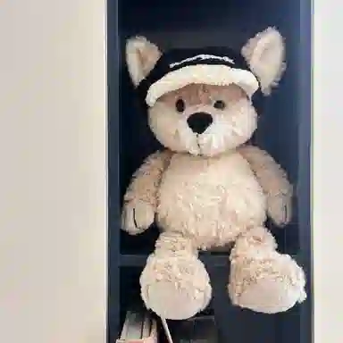 hugbuddy 35cm