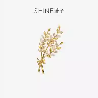 SHINE