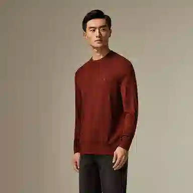 迪柯尼 时尚保暖纯色毛衣 男款