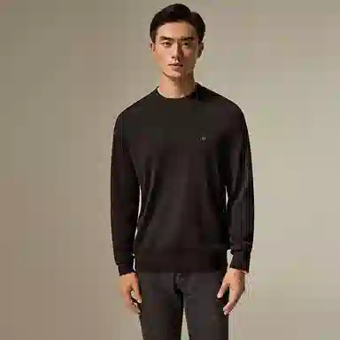 迪柯尼 时尚保暖纯色毛衣 男款