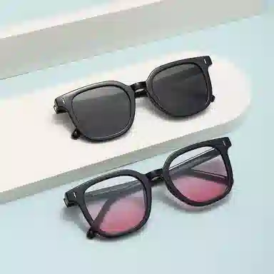 Craftsman Expert TR90 Sunglasses