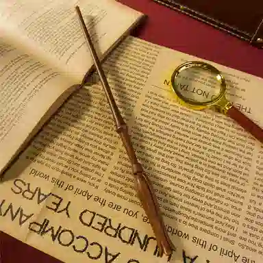 Harry Potter Wand Set