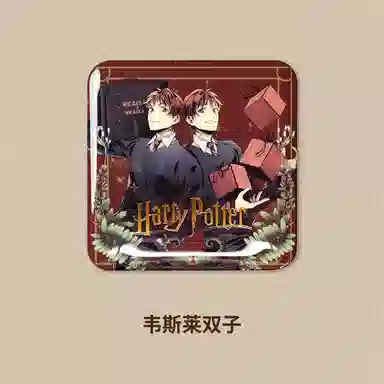 HARRY POTTER