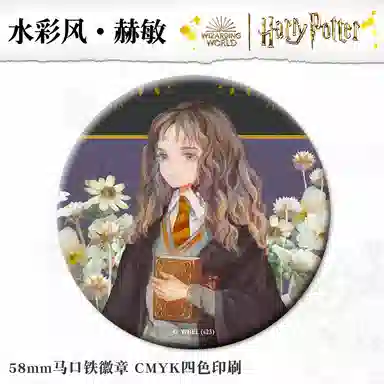 Harry Potter Keychain Badge Set