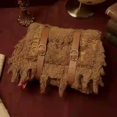 Harry Potter Monster Book Pouch