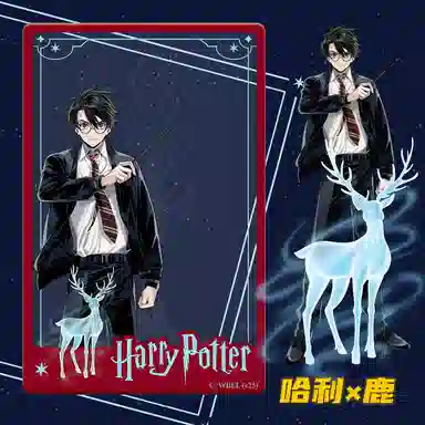 HARRY POTTER PVC