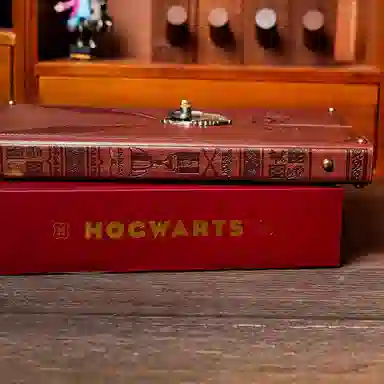 Harry Potter Golden Snitch Notebook