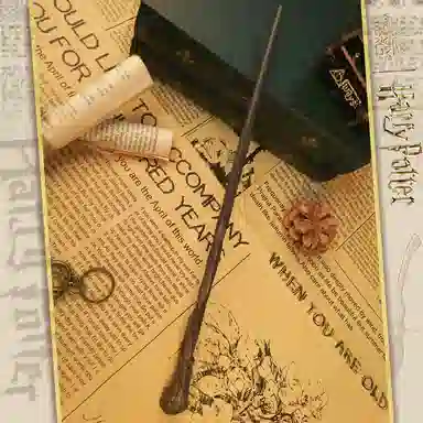 Harry Potter Wand Set