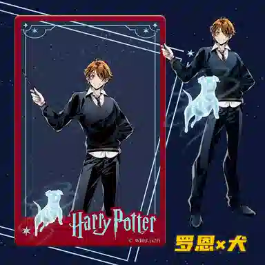 HARRY POTTER PVC