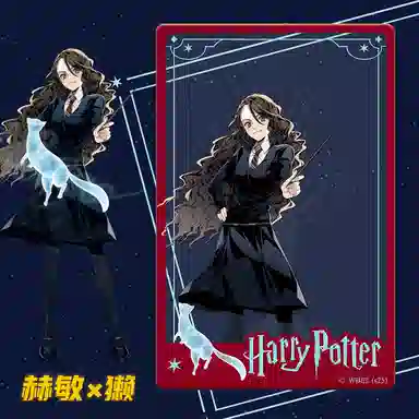 HARRY POTTER PVC