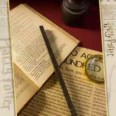 Harry Potter Wand Set