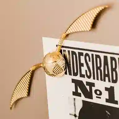 Harry Potter Golden Snitch Magnet
