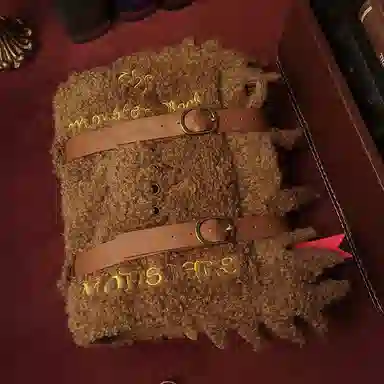 Harry Potter Monster Book Pouch