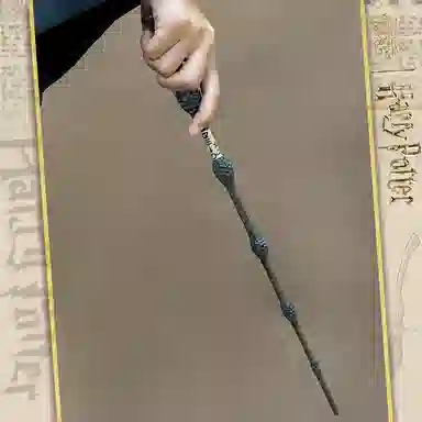 Harry Potter Wand Set