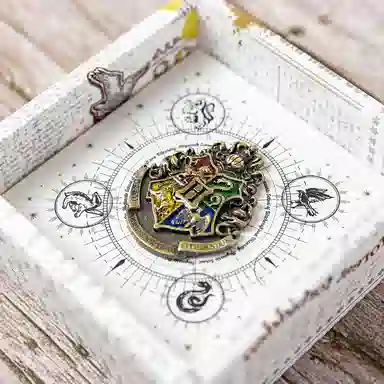 Harry Potter Wand Set