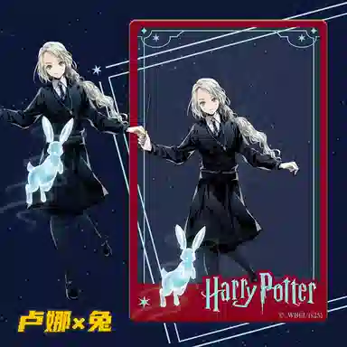 HARRY POTTER PVC