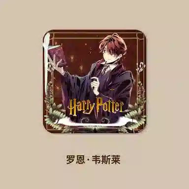 HARRY POTTER