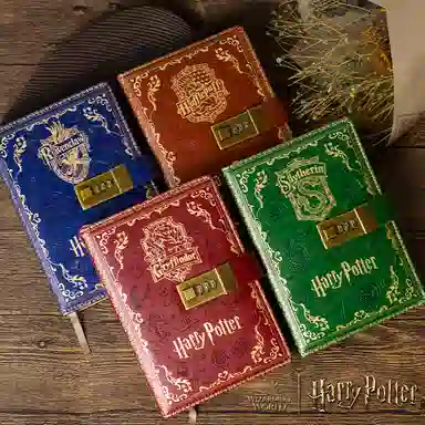 HARRY POTTER IP