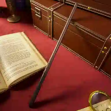 Harry Potter Wand Set