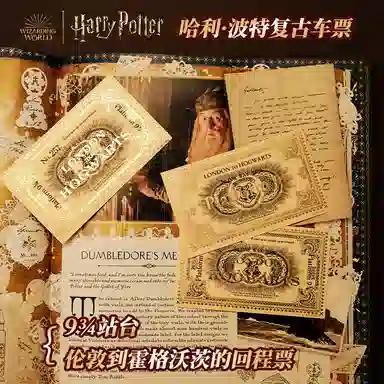 HARRY POTTER London to Hogwarts 50 IP