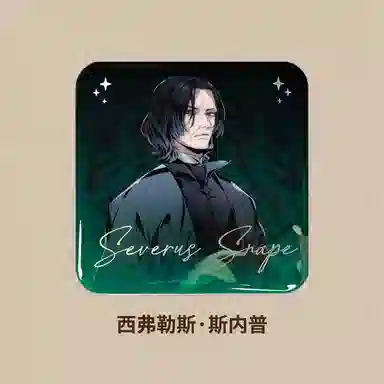 Harry Potter House Robe Series Badge