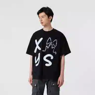 XINYINSU T